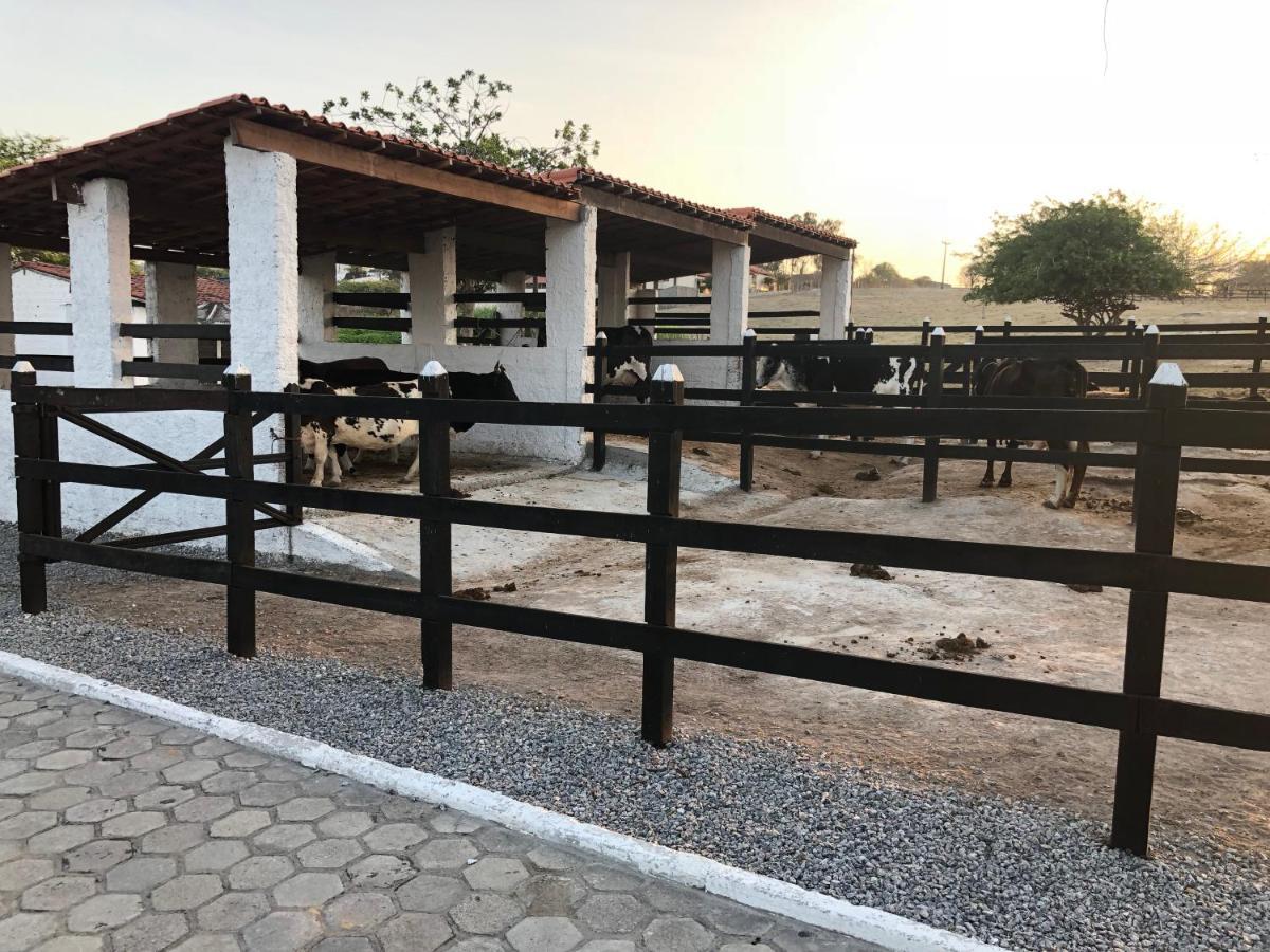 Flat 601 Condominio Villa Hipica - Gravata, Pe Dış mekan fotoğraf